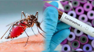 La Paz, tercer departamento con mayor aumento de Covid y Dengue
