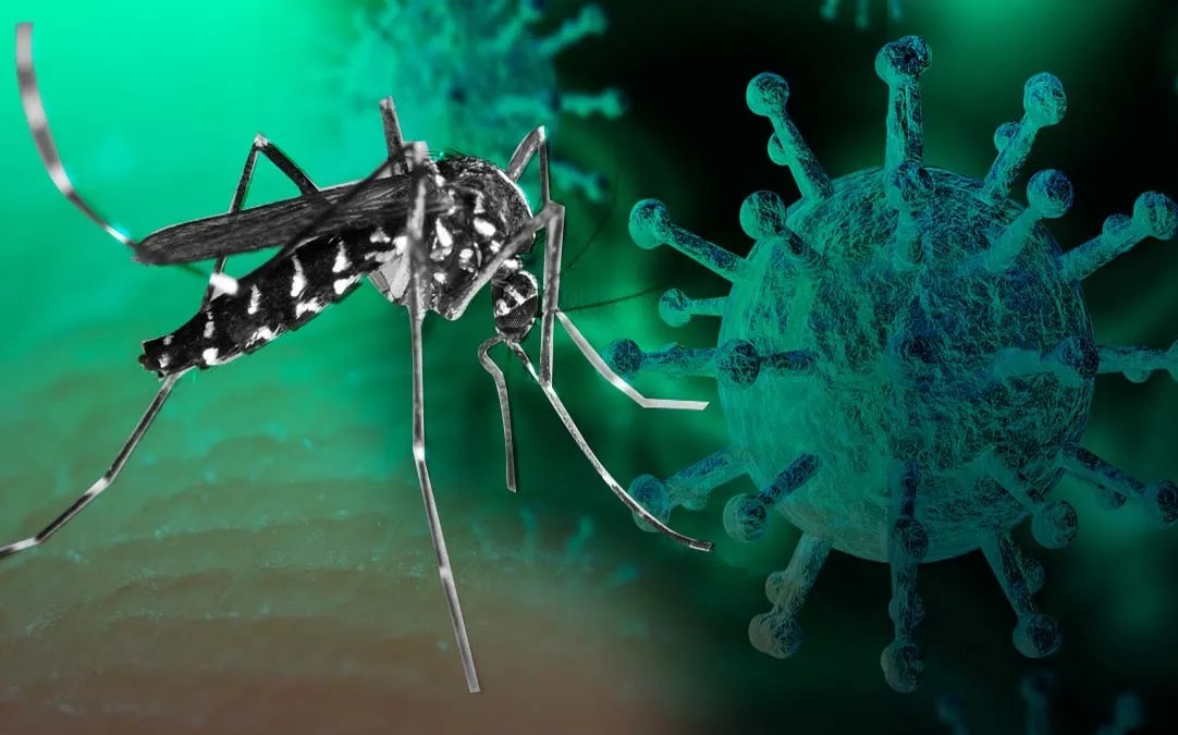 Siguen en aumento los casos de dengue y Covid-19