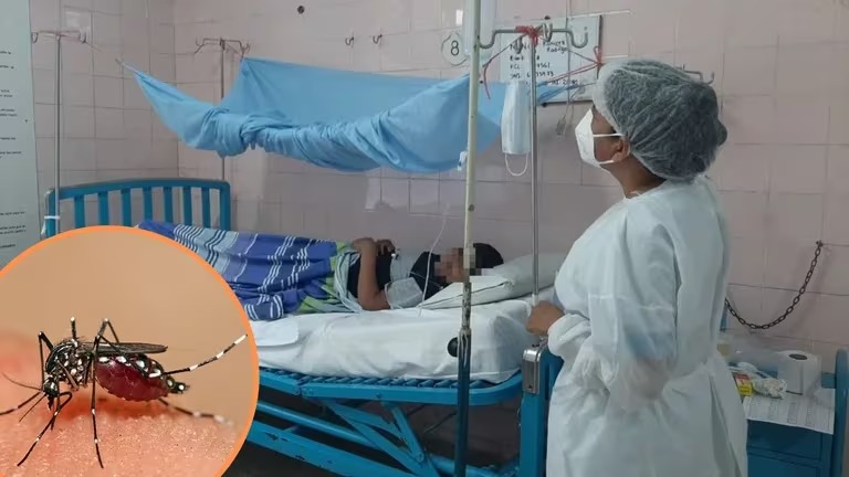 Advierten que en los próximos días se van a seguir incrementando los casos de dengue