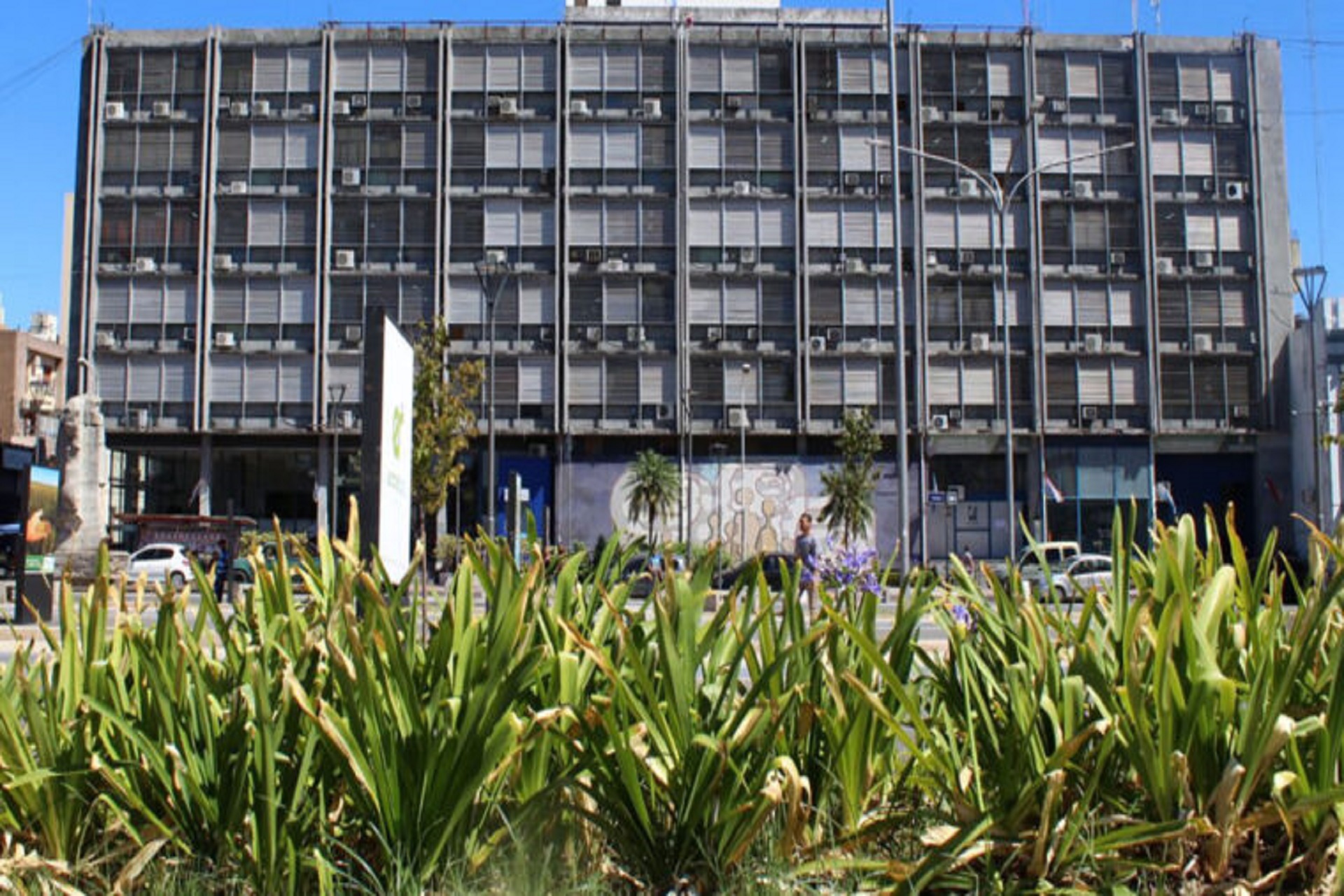 El 50 por ciento de los docentes no adhirió al paro