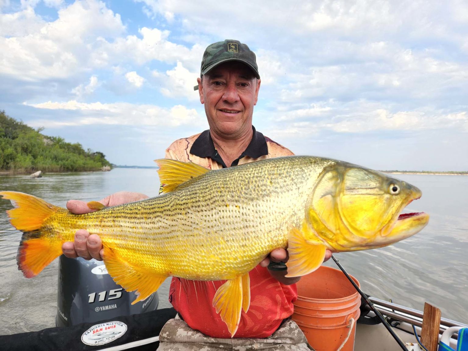 Se aprobó el proyecto que restringe la pesca del dorado para su preservación