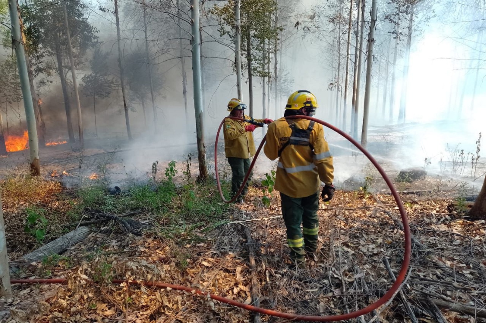 Se decretó la Emergencia Ambiental para combatir incendios