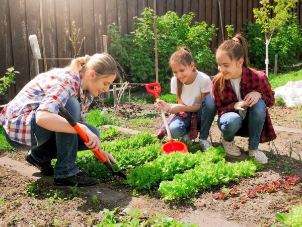 Invitan a participar del Curso de Huerta Familiar