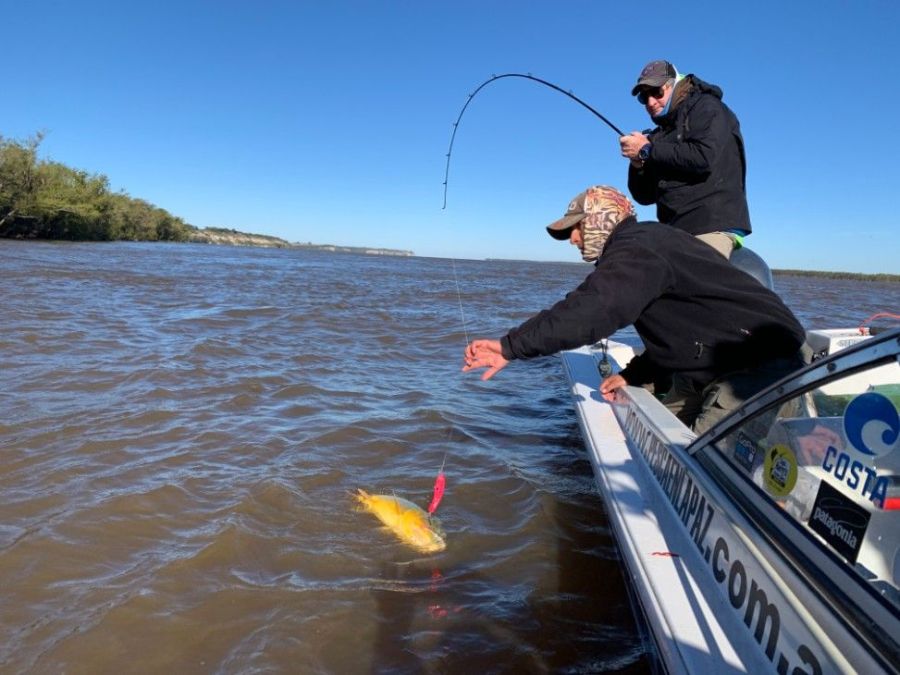 Avanzan en la creación de una licencia única de pesca deportiva para toda la Región Litoral
