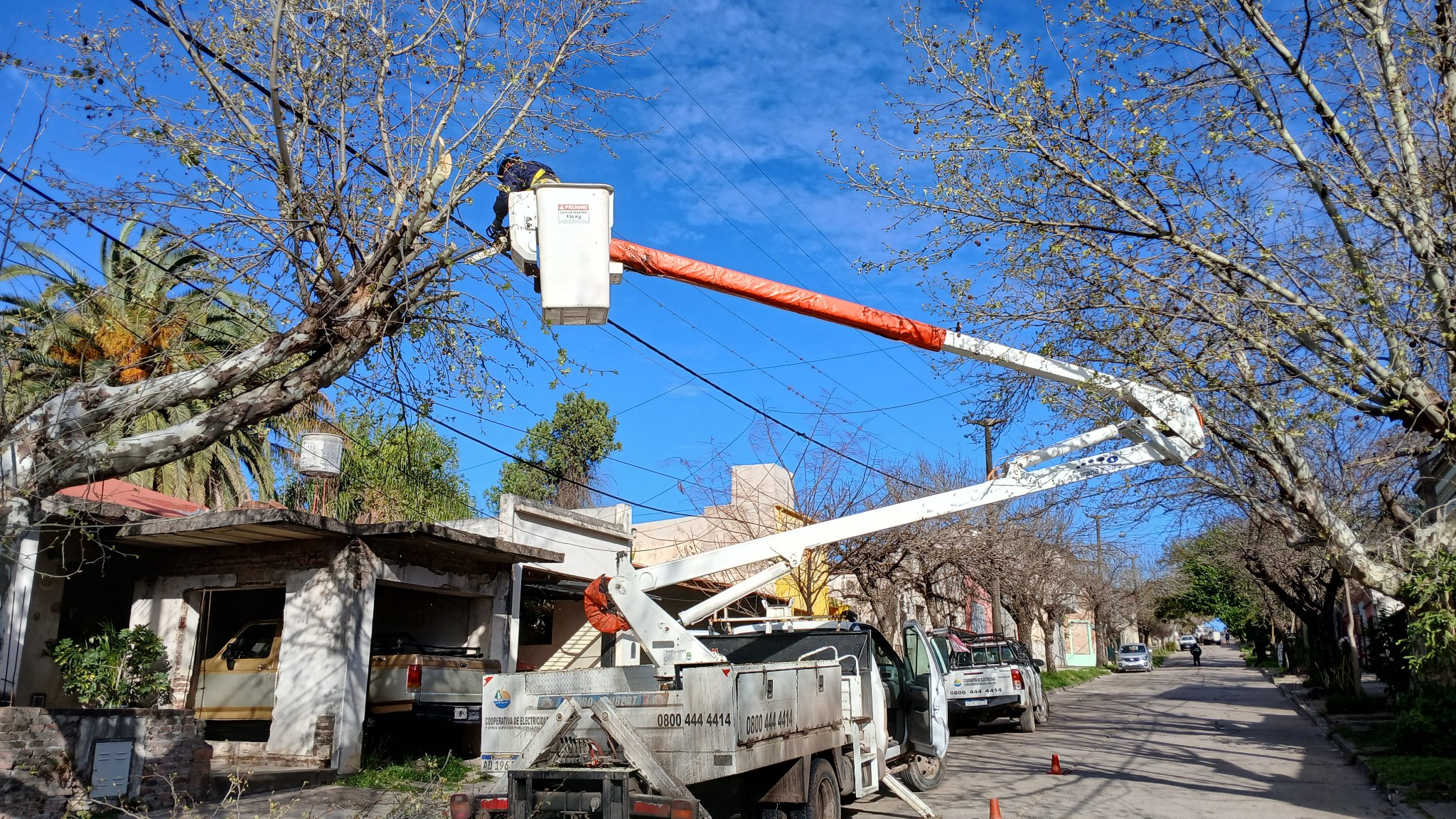 La CELP realizó tareas de poda y mantenimiento en Berón de Astrada