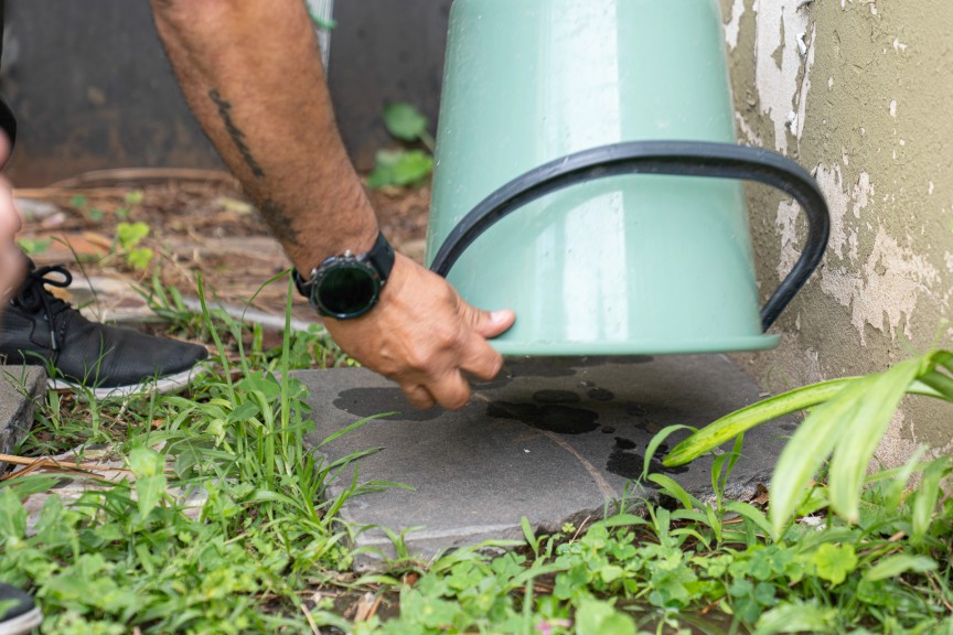 Recuerdan la importancia de sostener el descacharrizado para prevenir el dengue