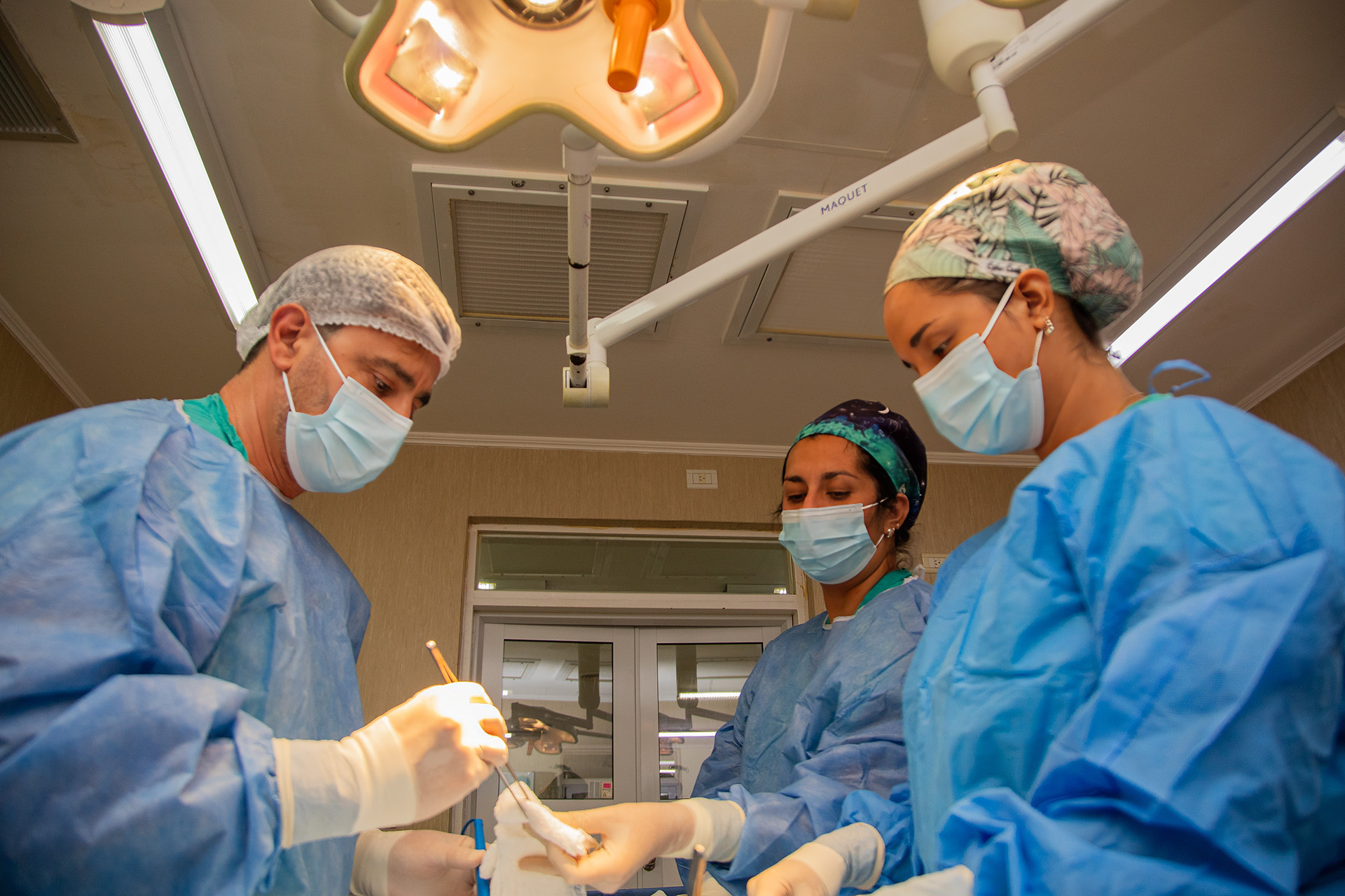 Nueva donación de órganos favorece a seis personas, dos en emergencia nacional