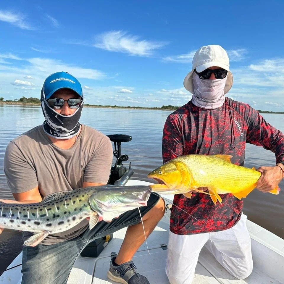 Nuevas reglas para la pesca en el Paraná: fijan cupos y mantienen restricciones