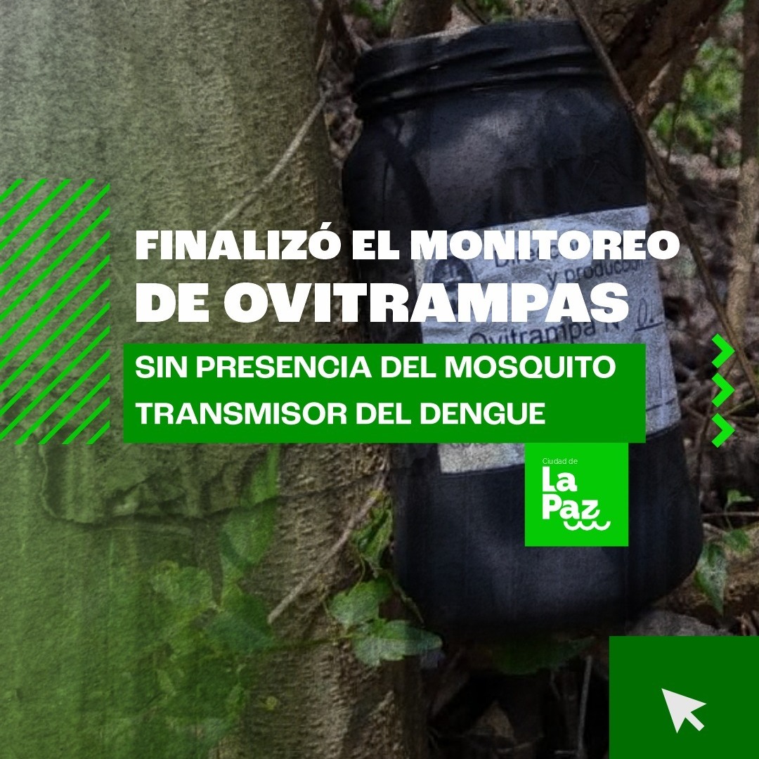 La Paz cerró el monitoreo de dengue sin detectar presencia del mosquito transmisor