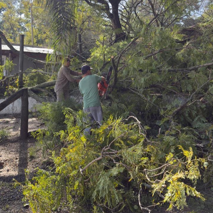 Tras el temporal, el municipio trabajó en distintos puntos de la ciudad