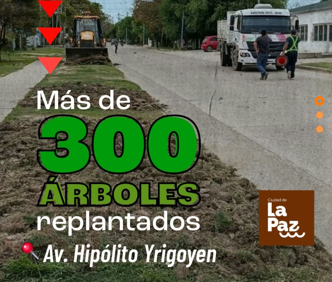 La Paz ya replantó más de 300 árboles y avanza con el arbolado urbano